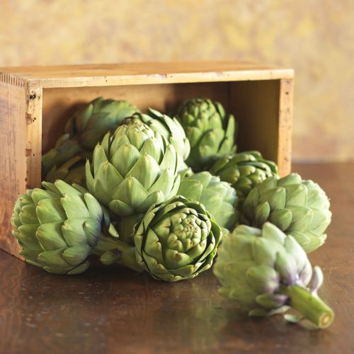 artichoke still life__4663