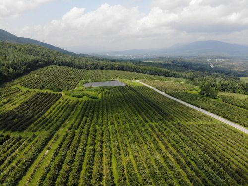 hudson river fruit - apple orchards - baldor specialty foods