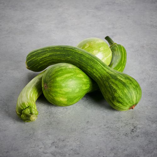 centercut squash - row 7 seeds - baldor food