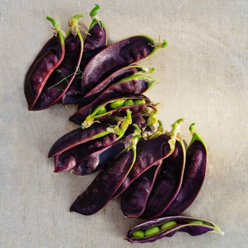 beauregarde snow peas - row 7 seeds - baldor foods