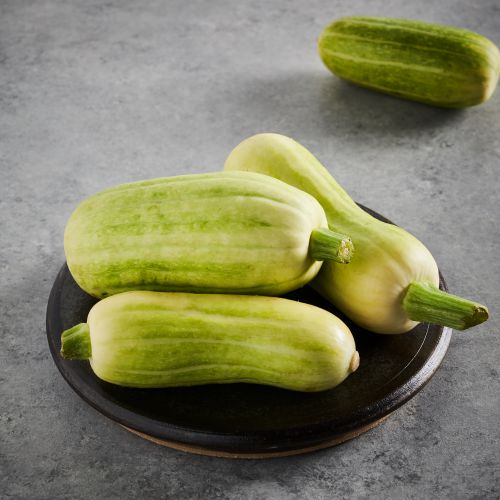 tetra squash - row 7 seeds - baldor foods