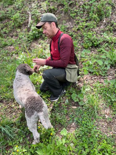 truffle-hunt-italy-baldor-specialty-foods