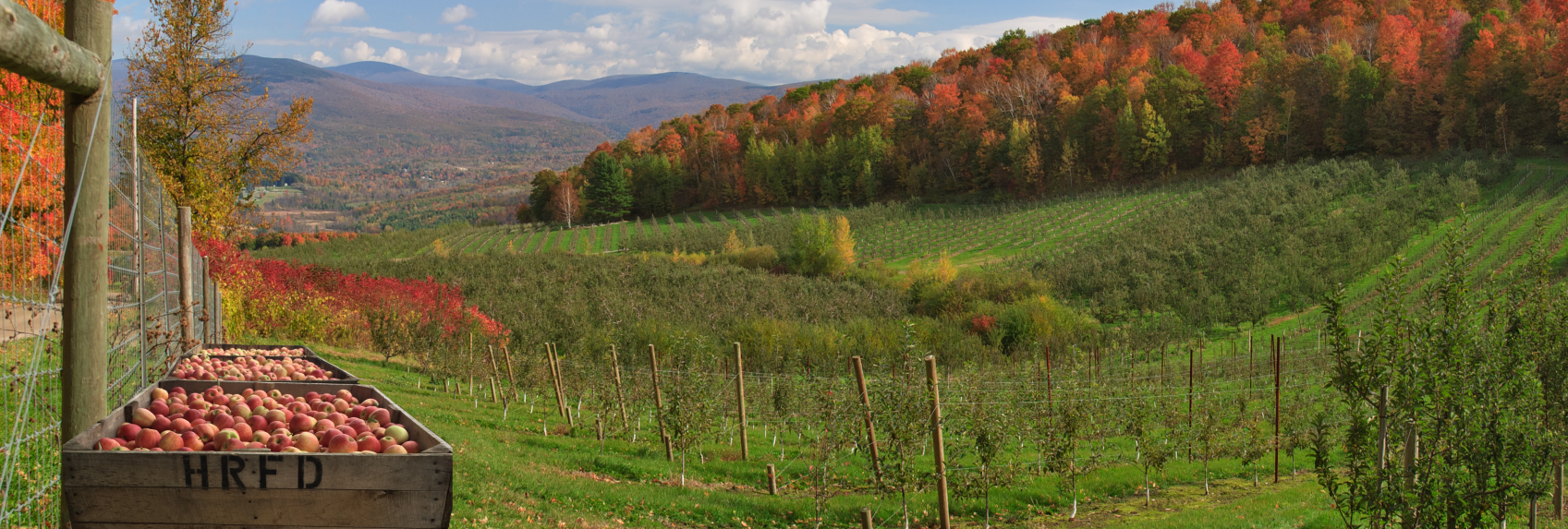 Amazing to the Core: Meet Hudson River Fruit Distributors