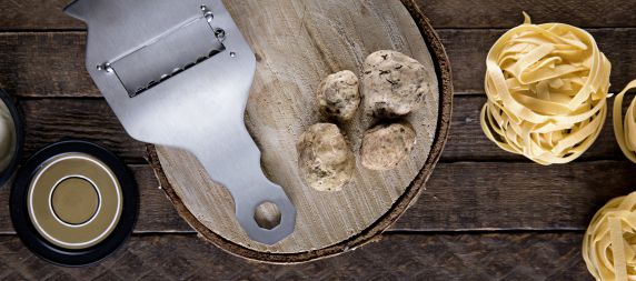 Truffles Unearthed:  Everything You Need to Know About the Umami Darling 