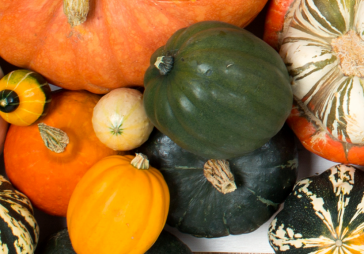 Our 15 Favorite Winter Squash Varieties