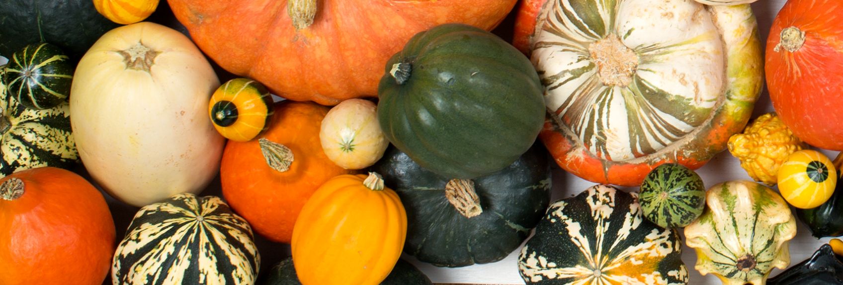 Our 15 Favorite Winter Squash Varieties