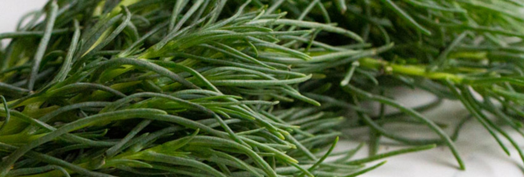 Agretti: Meet Your New Favorite Vegetable 