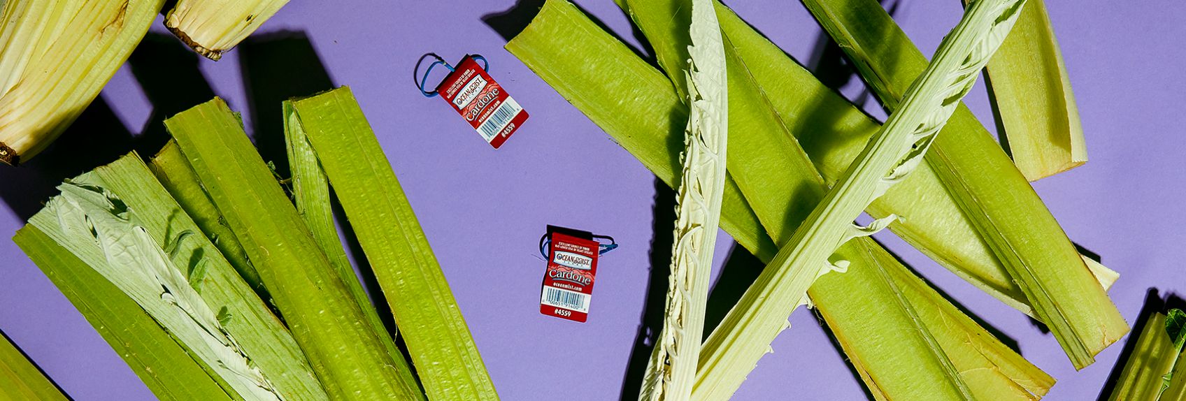 Meet the Cardoon