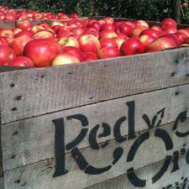 Red Jacket Orchards