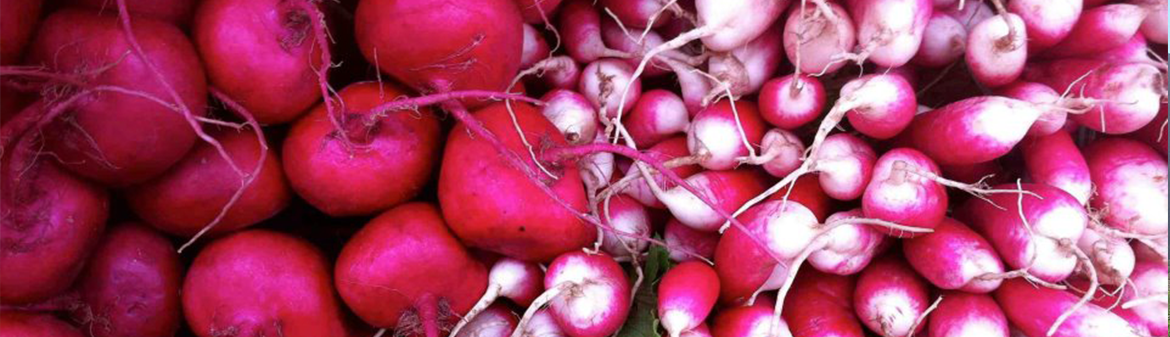 County Line Harvest