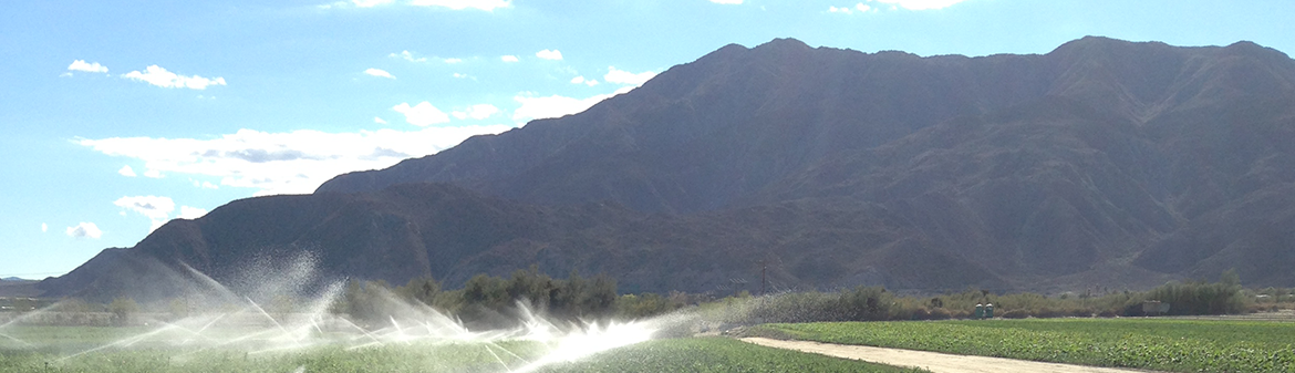 County Line Harvest