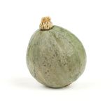 Organic Blue Hubbard Squash