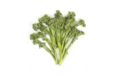 Iced Broccolini