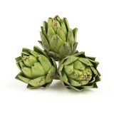 Artichokes