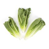 Romaine Hearts