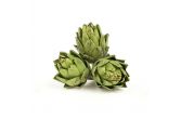 Artichokes