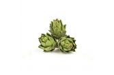 Artichokes