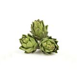 Artichokes