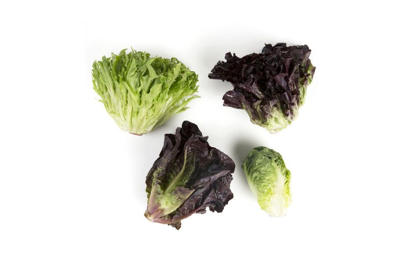 Artisan Mini Head Lettuce