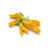 Organic Zucchini Flowers