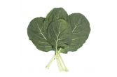 Organic Collard Greens