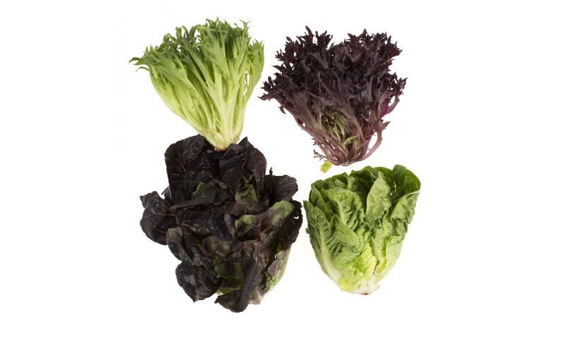 Artisan Mini Head Lettuce