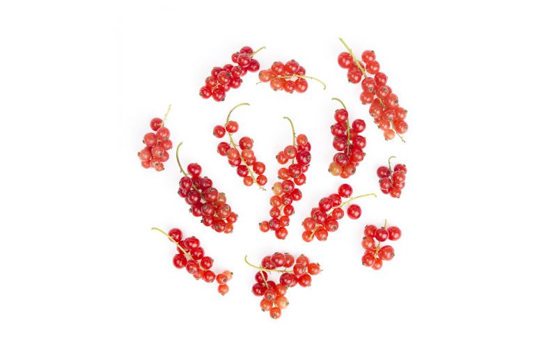 Local Red Currants