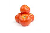 Medium/Large Tomatoes