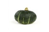 Organic Green Kabocha Squash