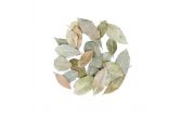 Dried Bay Leaves