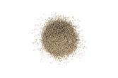 Cumin Seed