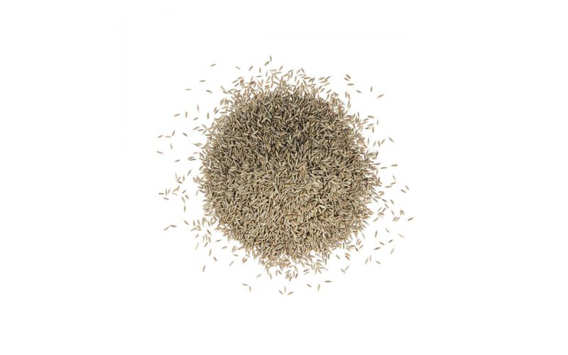 Cumin Seed