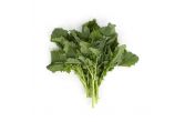 Organic Andy Boy Broccoli Rabe