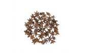 Star Anise