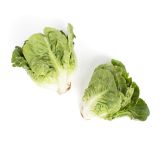 Organic Little Gem Lettuce