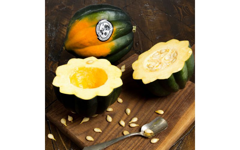 Acorn Squash