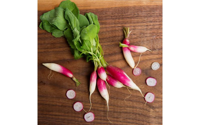 French Breakfast Radishes