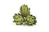 Artichokes