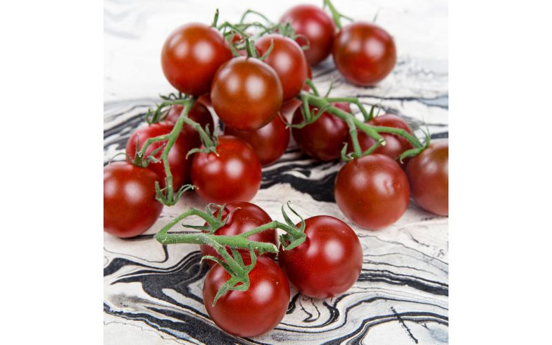 Cherry Tomatoes on the Vine