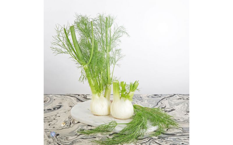 Organic Fennel