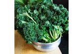 Organic Green Kale