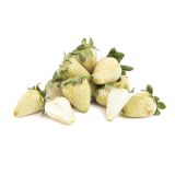 Green Unripe Strawberries