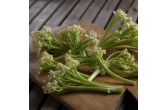 Caulilini SweetStem Cauliflower