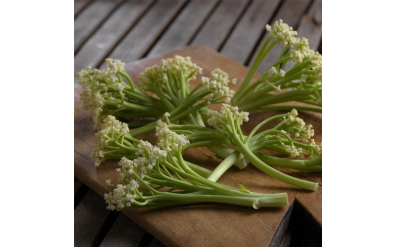 Caulilini SweetStem Cauliflower