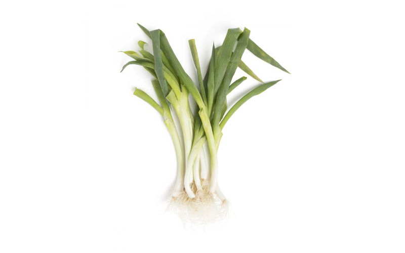 Organic Japanese Negi Scallions