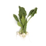 Organic Baby Turnips