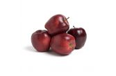 Red Delicious Apples