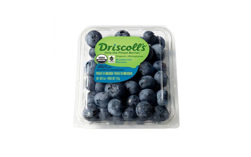 Organic Blueberries