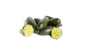 Finger Limes