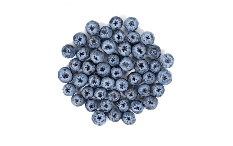 Limited Edition Sweetest Batch Jumbo Blueberries